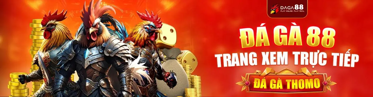 Sân đá gà trực tuyến sôi động tại Win2888